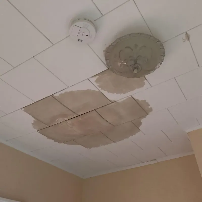 Ceiling Water Damage Repair in Currituck, NC