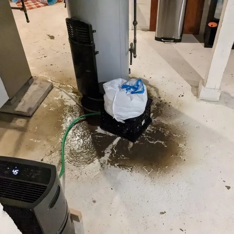 Sewage Backup Cleanup Service in Currituck, NC